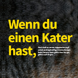vor_teaser_sms_impfschutz